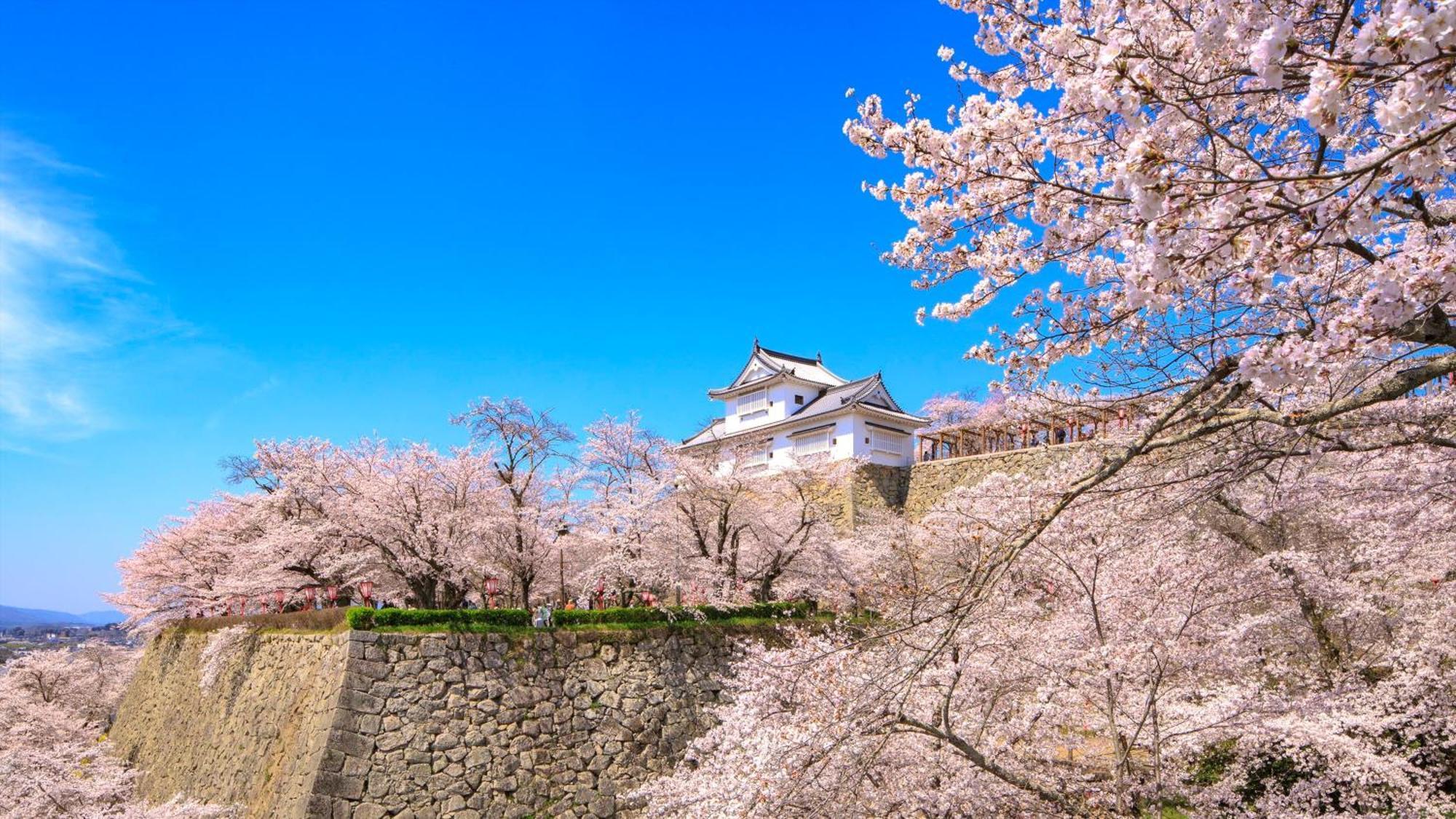 Ana Crowne Plaza Okayama By Ihg Hotel Luaran gambar