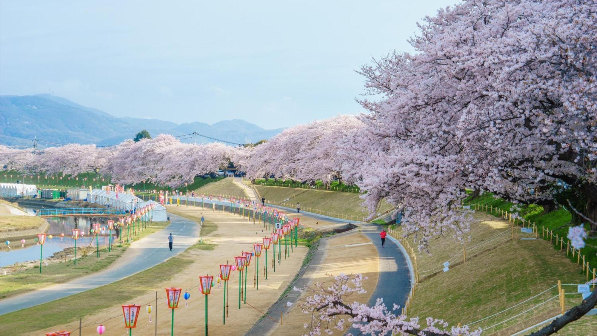 Ana Crowne Plaza Okayama By Ihg Hotel Luaran gambar
